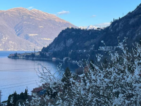 La punta di Varenna - CIR 097084-CNI-00104
